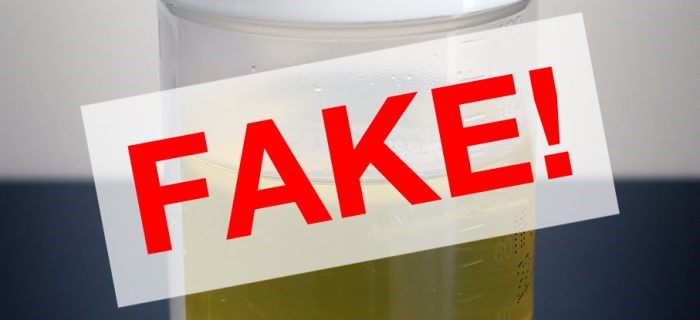 U Pass Synthetic Urine Instructions Du Bois NE 68345